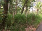 Land for Sale Ampara