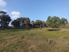 Land for sale - Mullativu