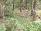 Land for Sale Polonnaruwa