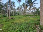 Land for Sale Dankotuwa