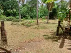 Land for Sale Medagama
