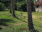 Land for Sale - Wennappuwa