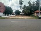 Land for Sale - Nattandiya