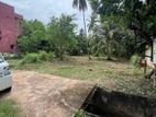 Land for Sale - Nattandiya