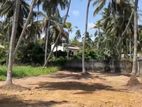 Land for Sale Marawila