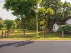 Land for Sale වැලිපැන්නගහමුල්ල