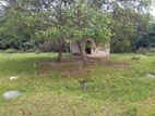 Land For Sale Puttalam