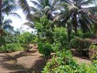 Land For Sale In Kuruwita