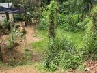 Land for Sale Rathnapura