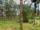 Land for Sale Ratnapura