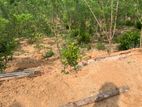 Land for Sale Pambahinna