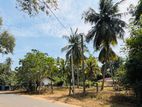 Land for Sale - Ratnapura