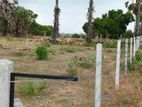 Land for Sale Thiriyaya