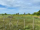 Land for Sale Trincomalee