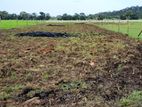 Land for Sale - Trincomalee