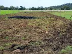 Land for Sale - Trincomalee