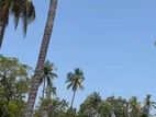 Land for Sale Trincomalee