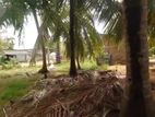Land for Sale Thambalagamuwa