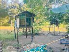 Land for Sale Kuchchaveli