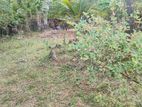 Land for Sale - Irakkandy