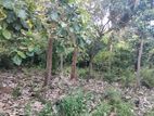 Land for sale Chinabay