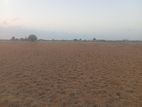 Land for Sale Kinniya