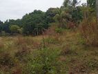 Land for Sale kandy