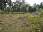 Land for Sale Vauniya