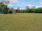 Land for Sale Sasthirikoolankulam