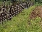 Land for Sale கள்ளிகுளம் சிதம்பரம் ஓமந்தை