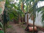 Land for Sale Vavuniya
