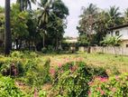 Land for sale from 200m palaly road thirunelvely