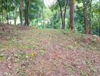 Land for Sale Galagedara