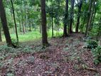 Land for Sale Galagedara