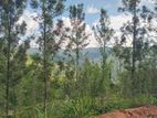 land for sale galaha