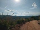 land for sale galaha