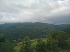 Land for Sale Galaha