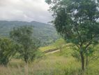 Land For Sale Galaha