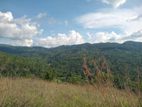 Land for Sale Galaha