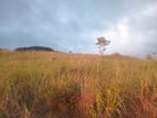 land for sale galaha