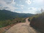 land for sale galaha