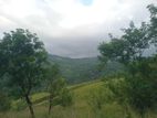 land for sale galaha