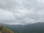 LAND FOR SALE GALAHA
