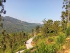 LAND FOR SALE GALAHA- NILLAMBA