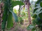 Land for Sale - Galewela
