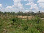 Land for Sale - Galgamuwa