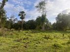 Land for Sale Galgamuwa