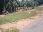 land for sale galigamuwa