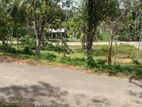 land for sale galle bogahagoda