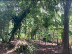 Land for Sale Galle